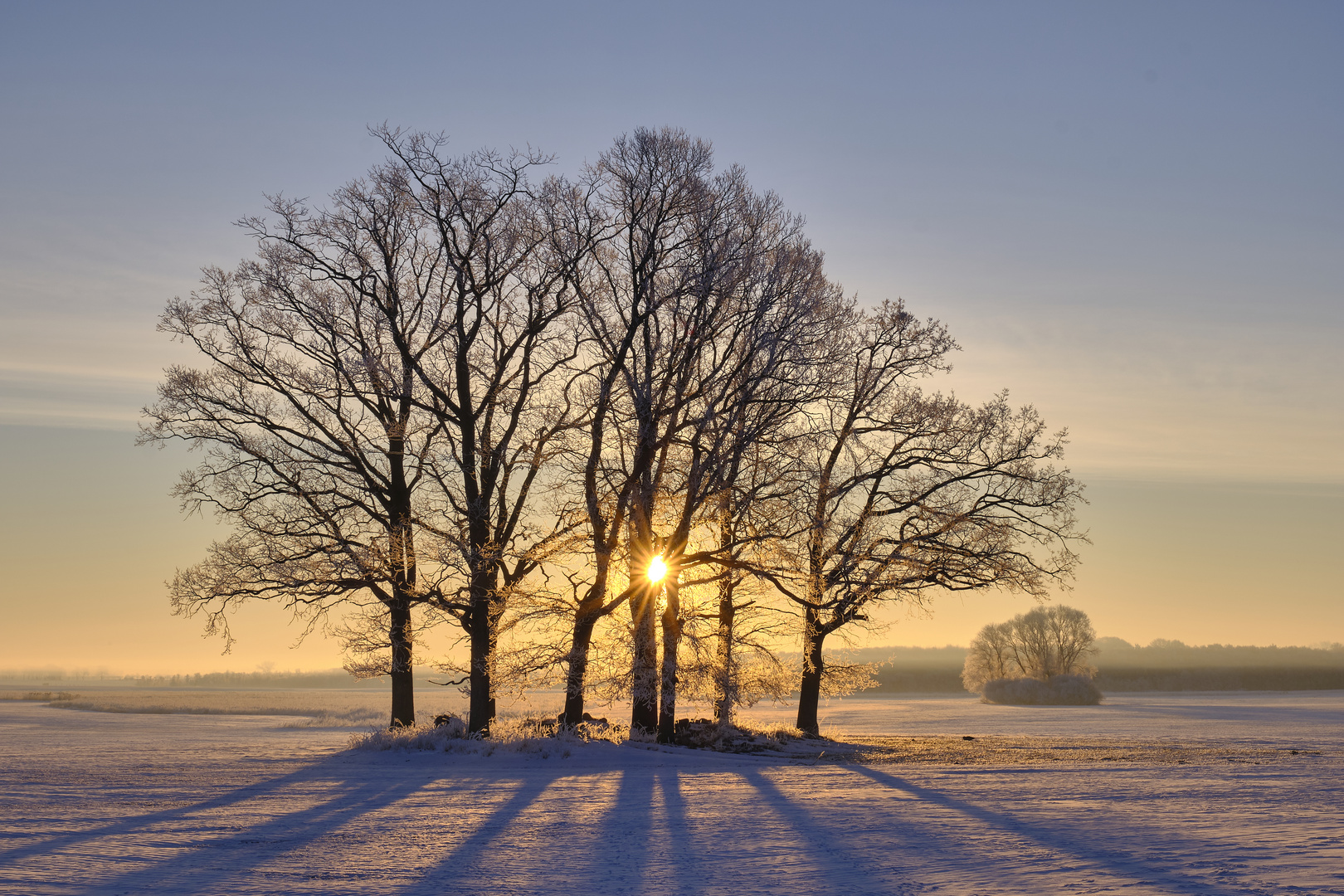 Wintersonne