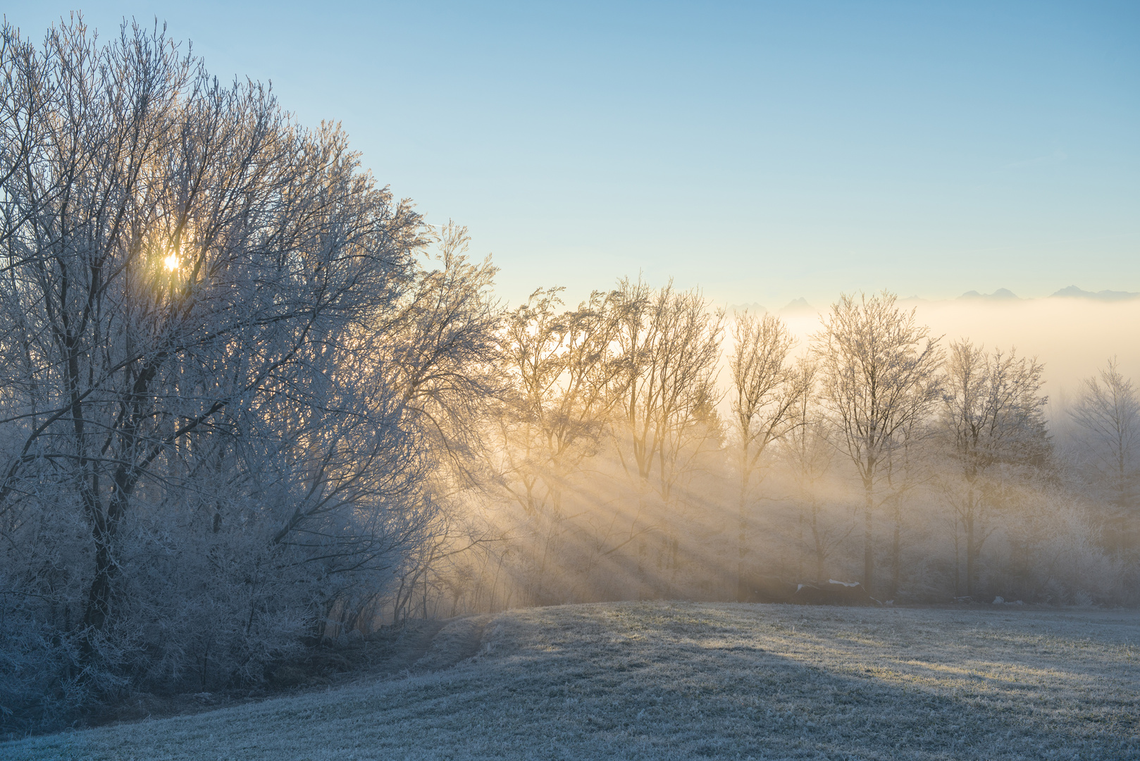 Wintersonne