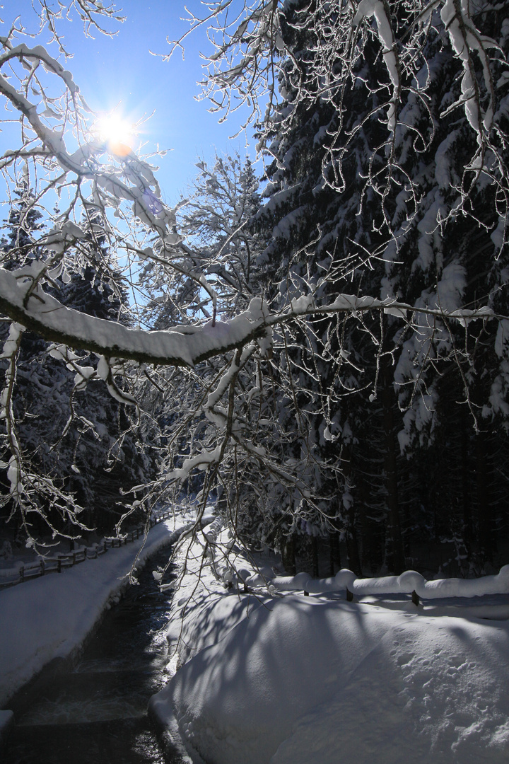 Wintersonne bei -12°C