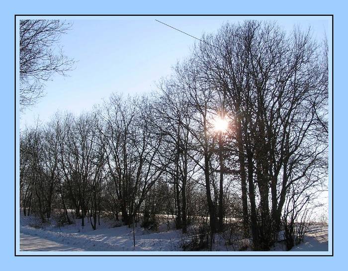 Wintersonne blinzelt durch die Äste