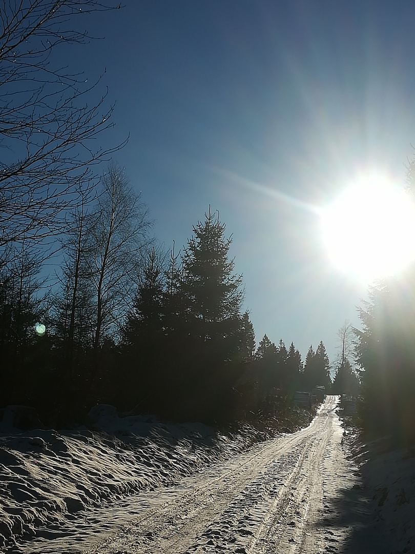 Wintersonne