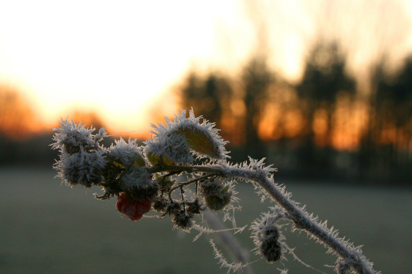 Wintersonne