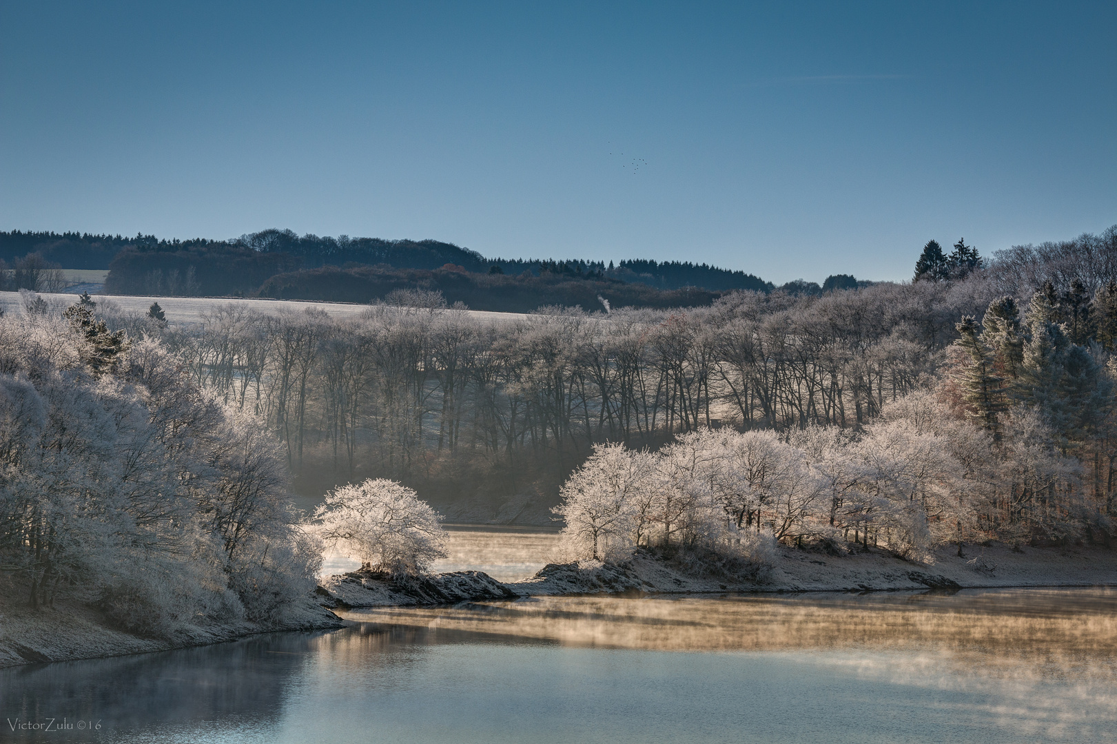 Wintersonne