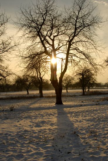 Wintersonne