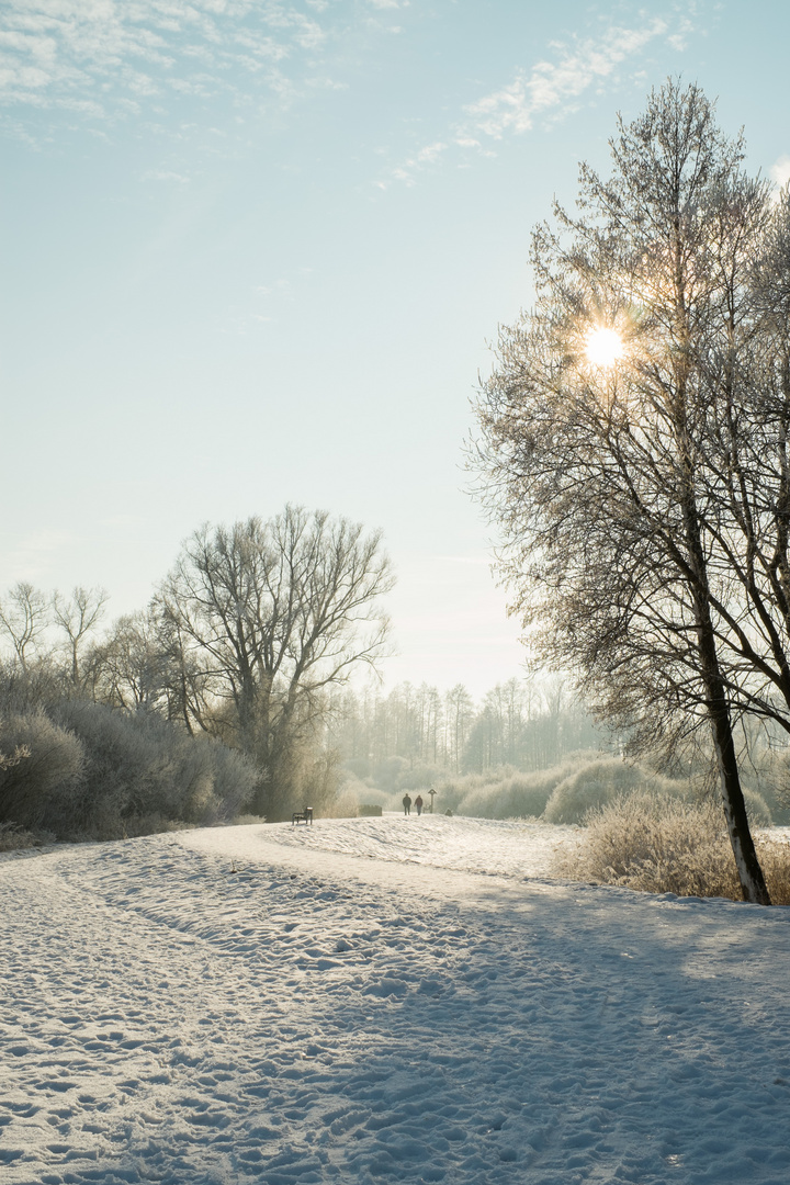 Wintersonne