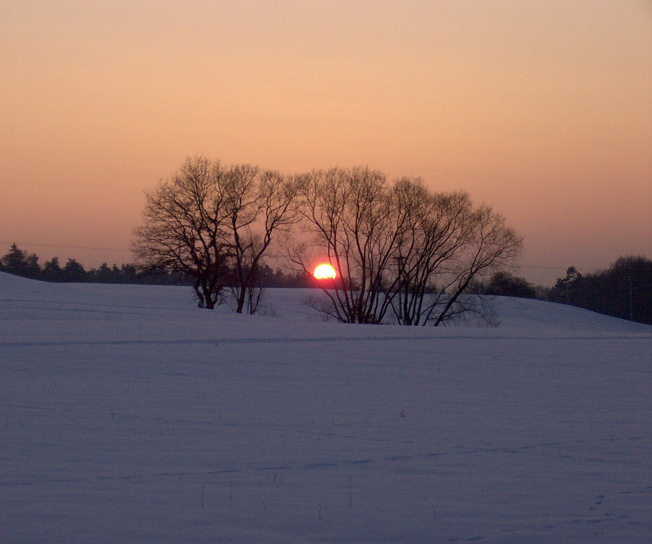 Wintersonne