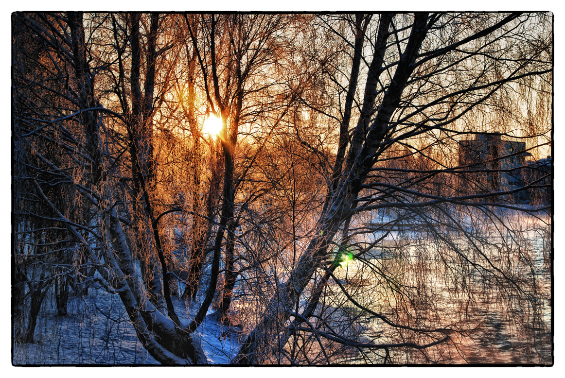 Wintersonne