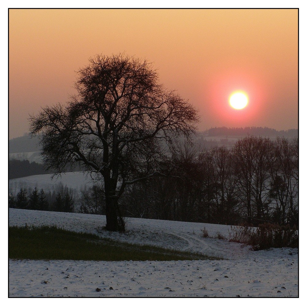 Wintersonne