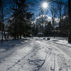 Wintersonne - D85_2872-3