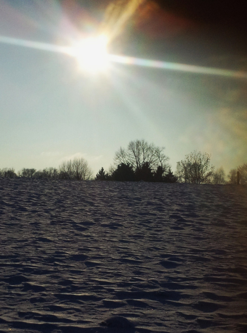 Wintersonne