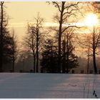 Wintersonne die ich geniesen durfte