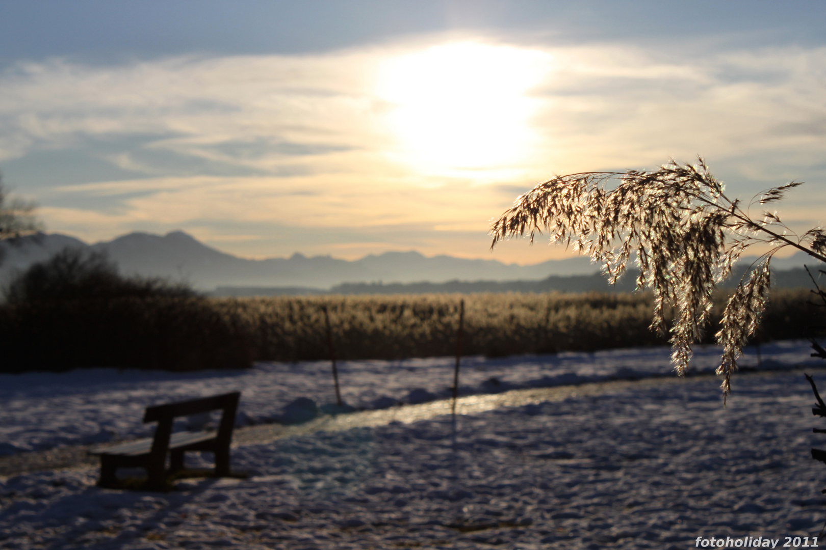 Wintersonne