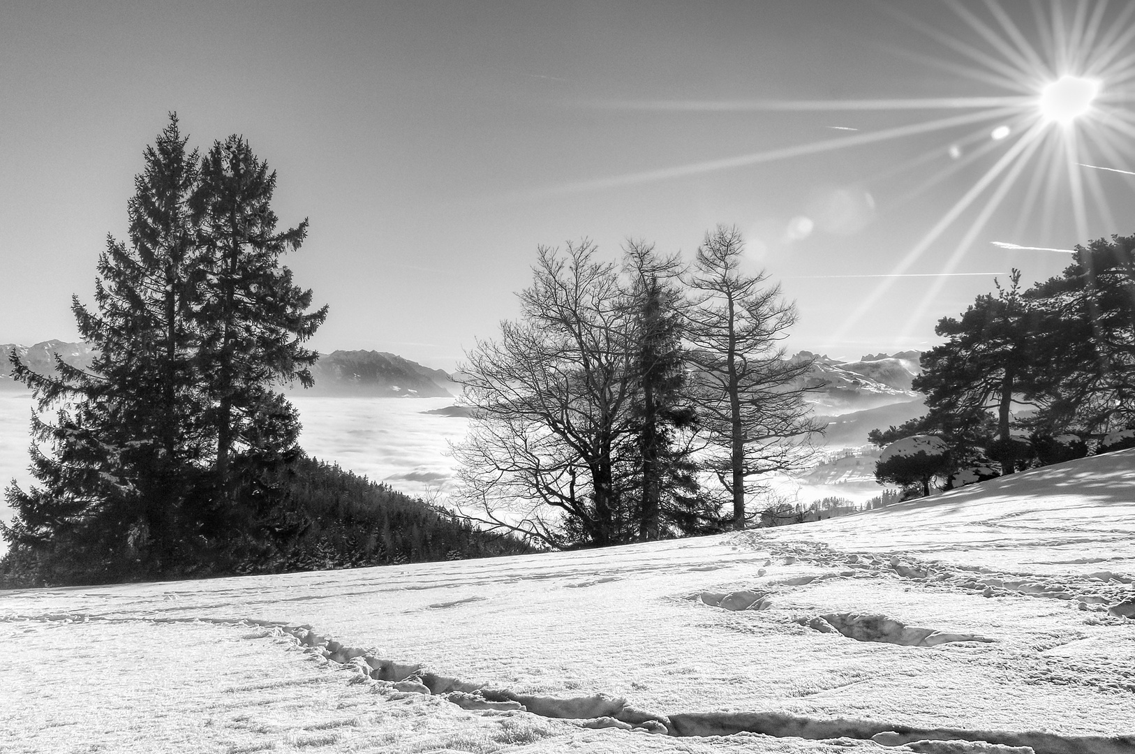 Wintersonne Wintersonne