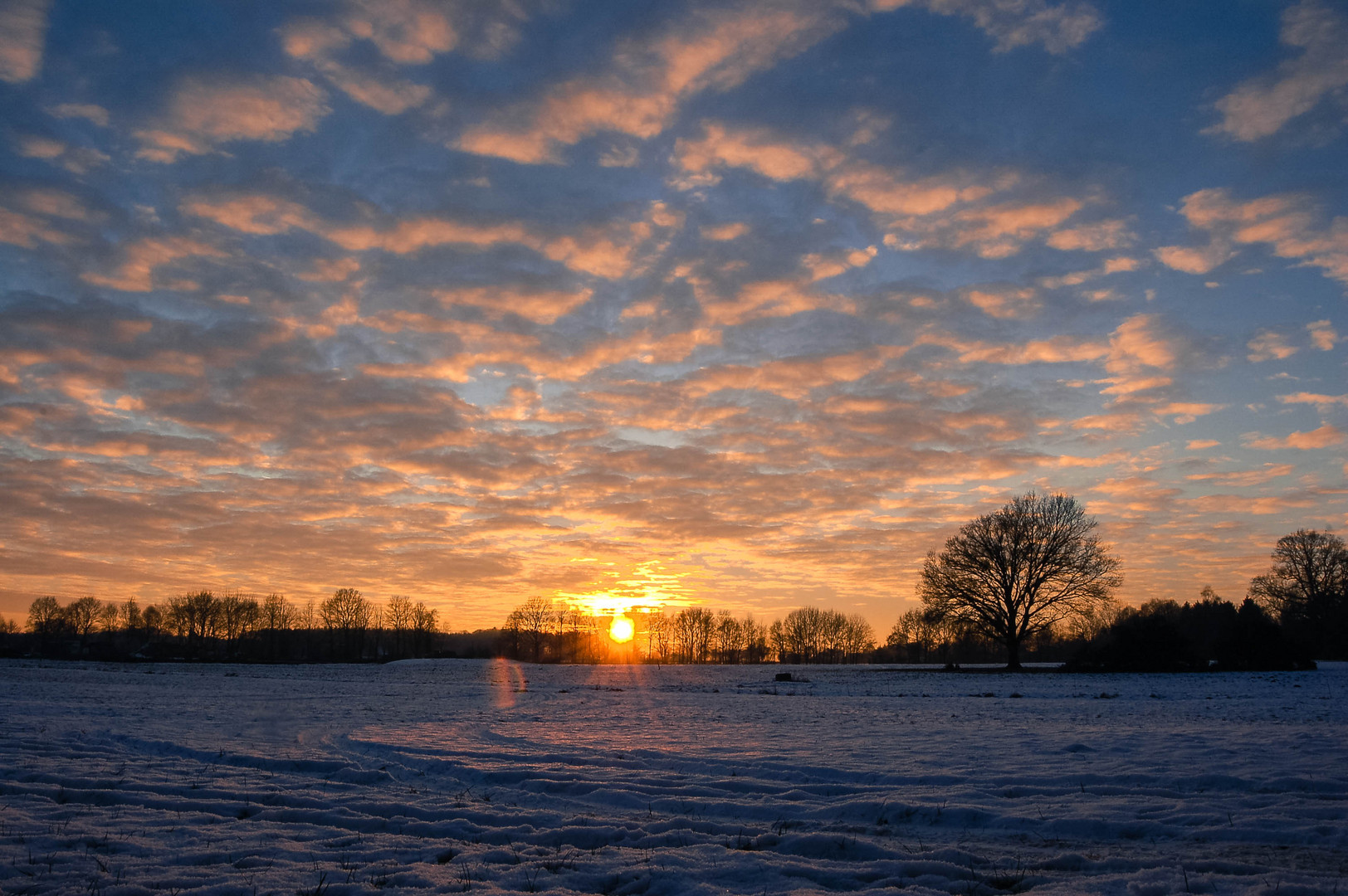 Wintersonne