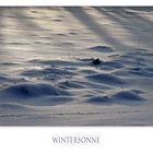 Wintersonne