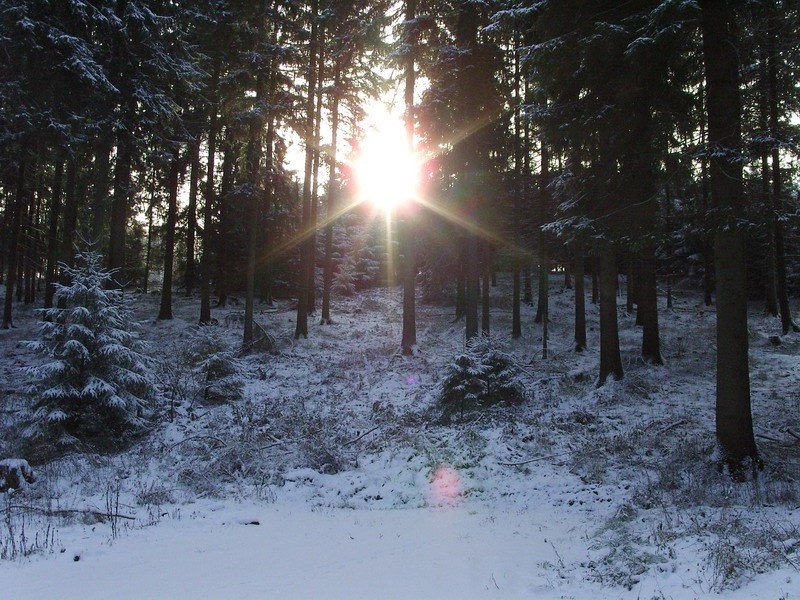 Wintersonne erwacht