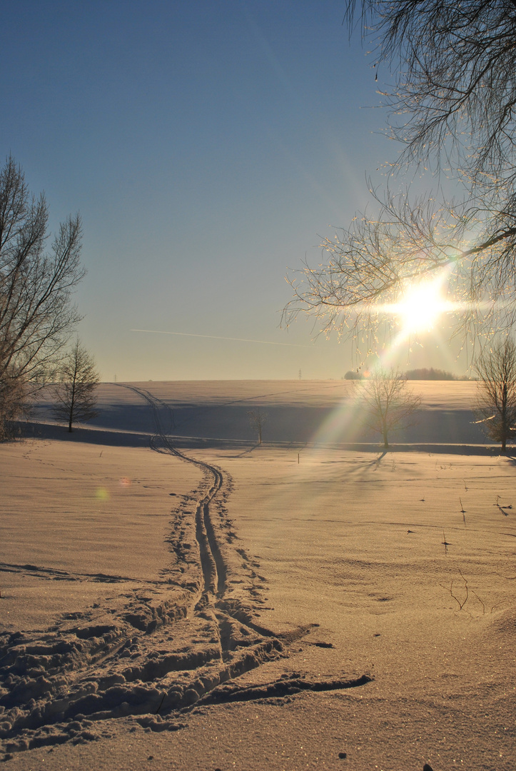 Wintersonne