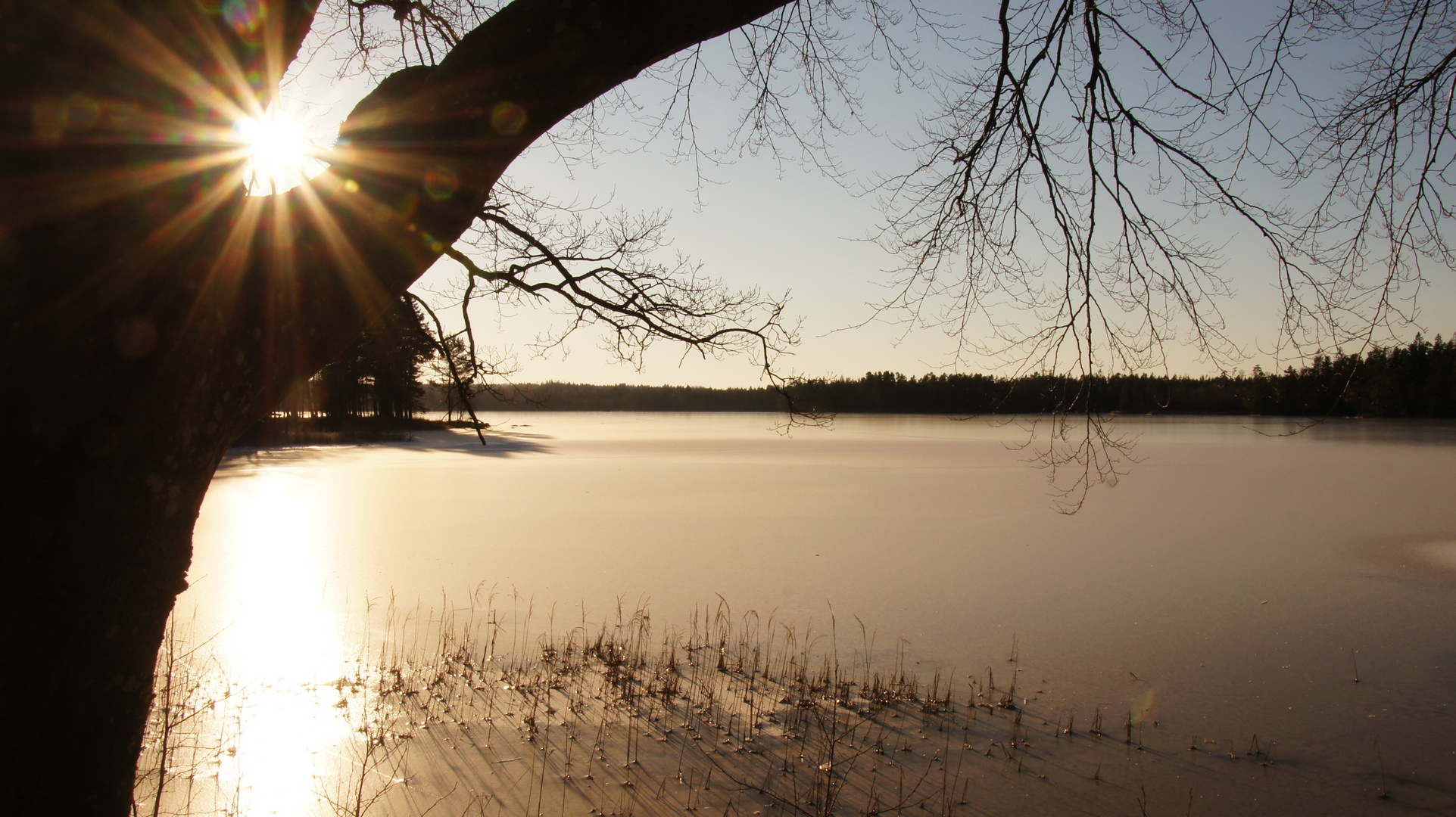 Wintersonne