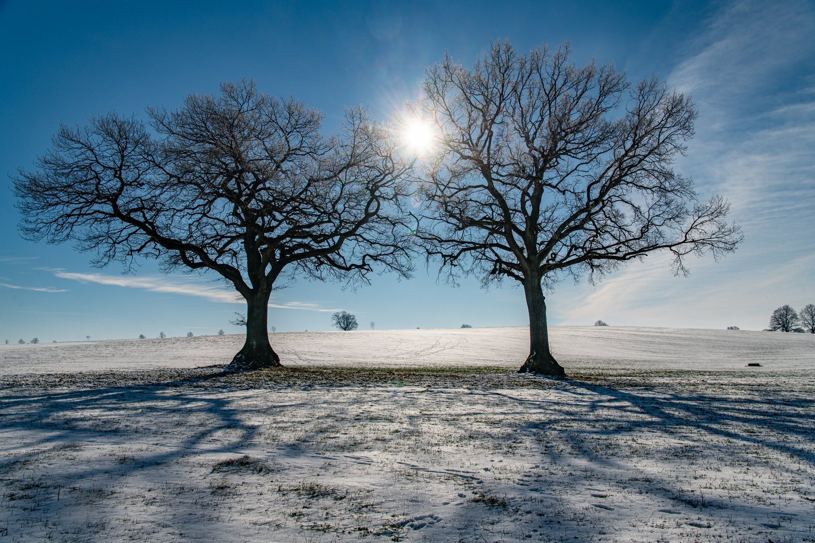 Wintersonne