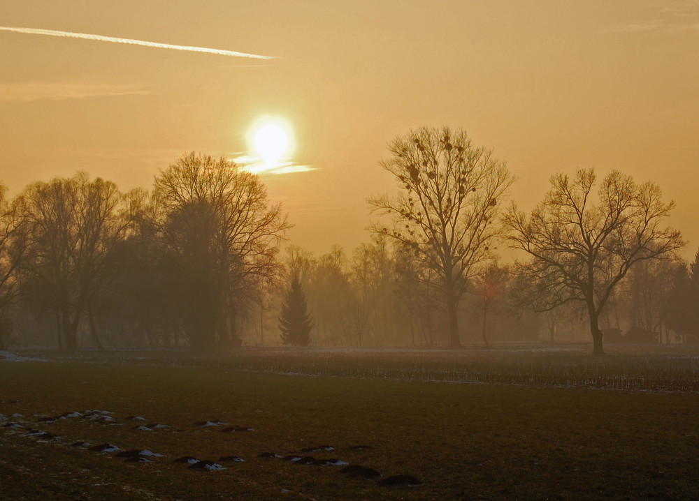 Wintersonne