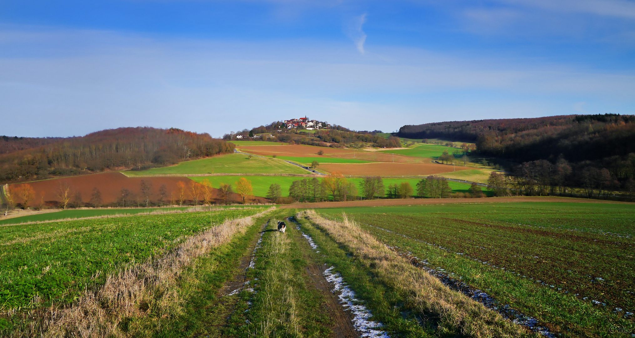 Wintersonne