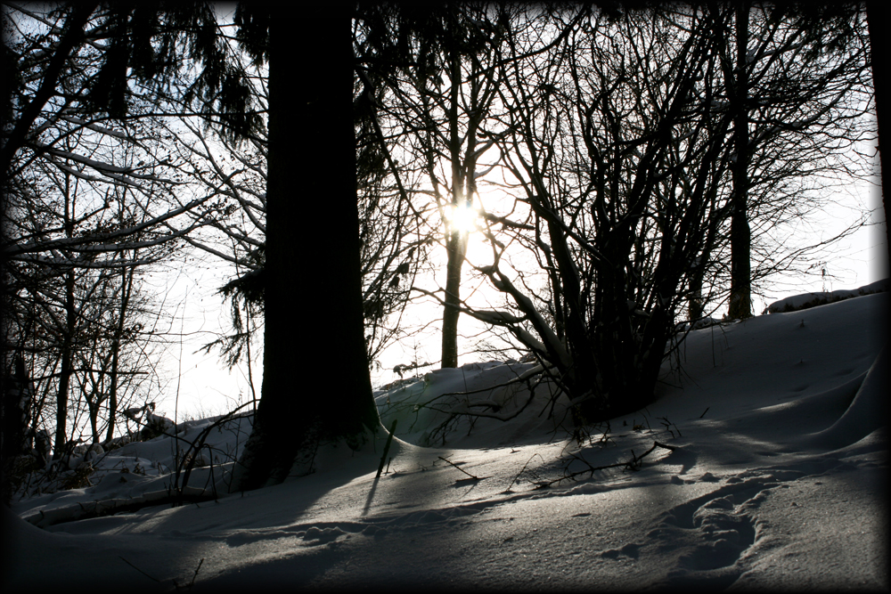 Wintersonne II