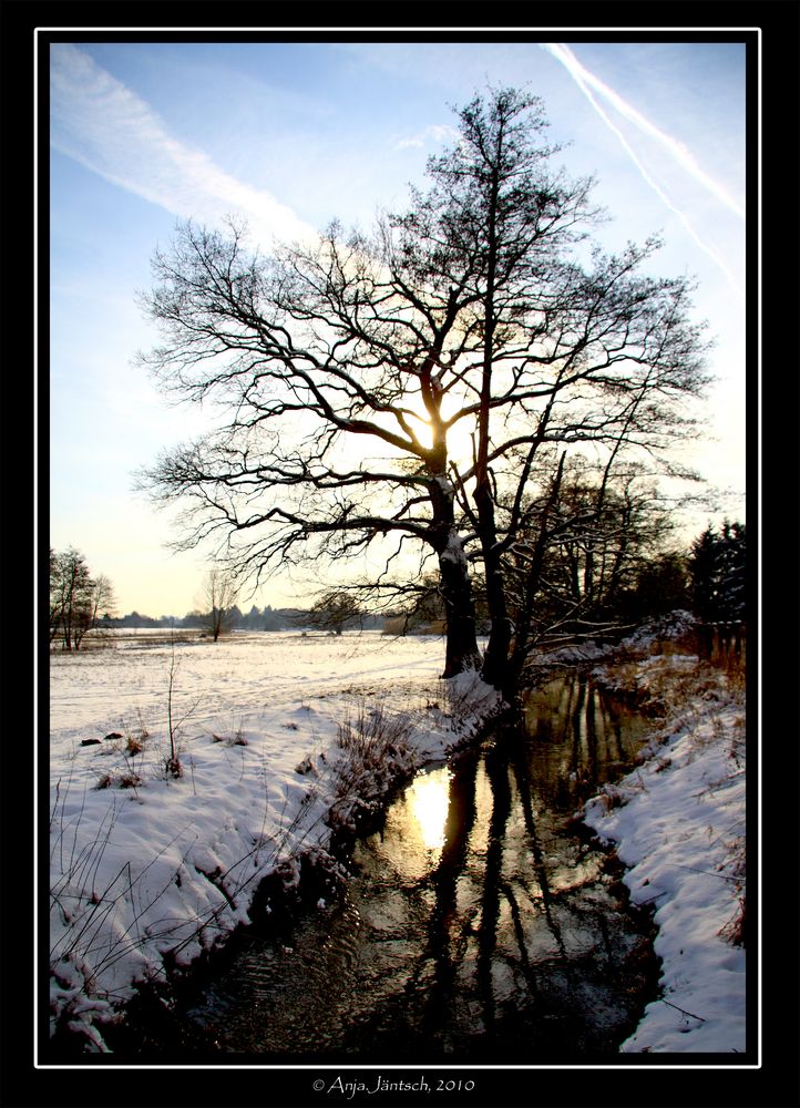 Wintersonne III