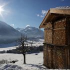 Wintersonne im Brixental