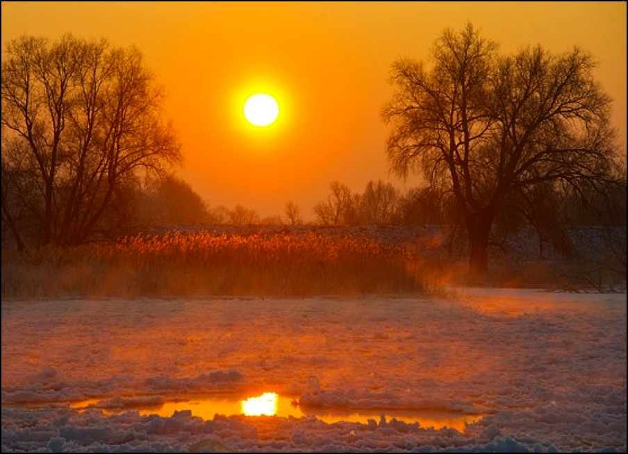 Wintersonne im Februar