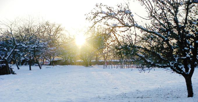 Wintersonne im Garten