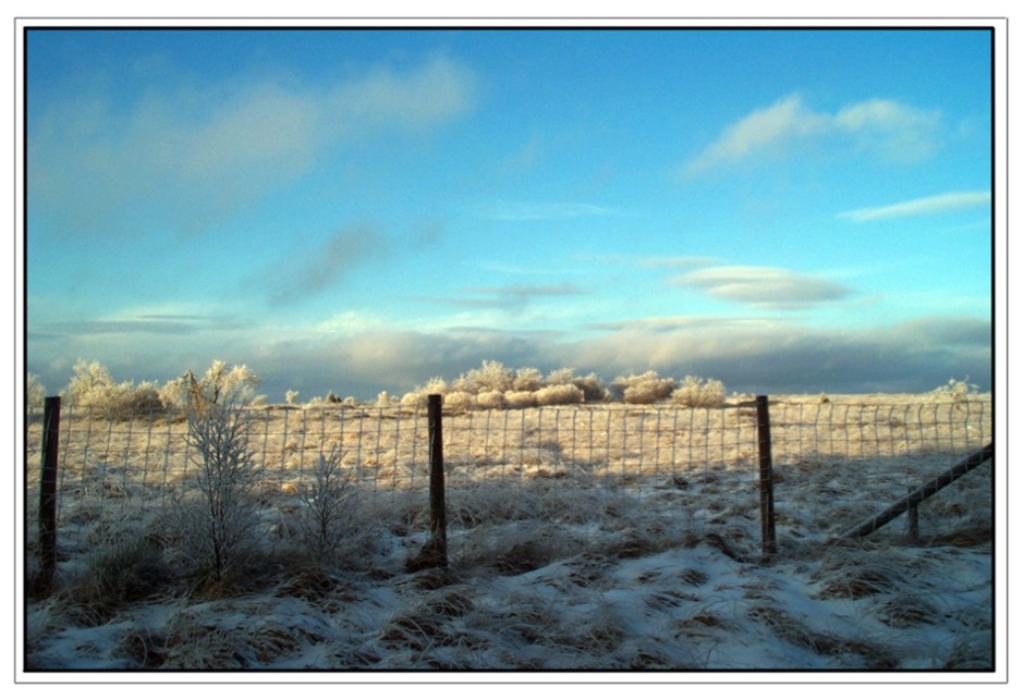 Wintersonne im Hohen Venn