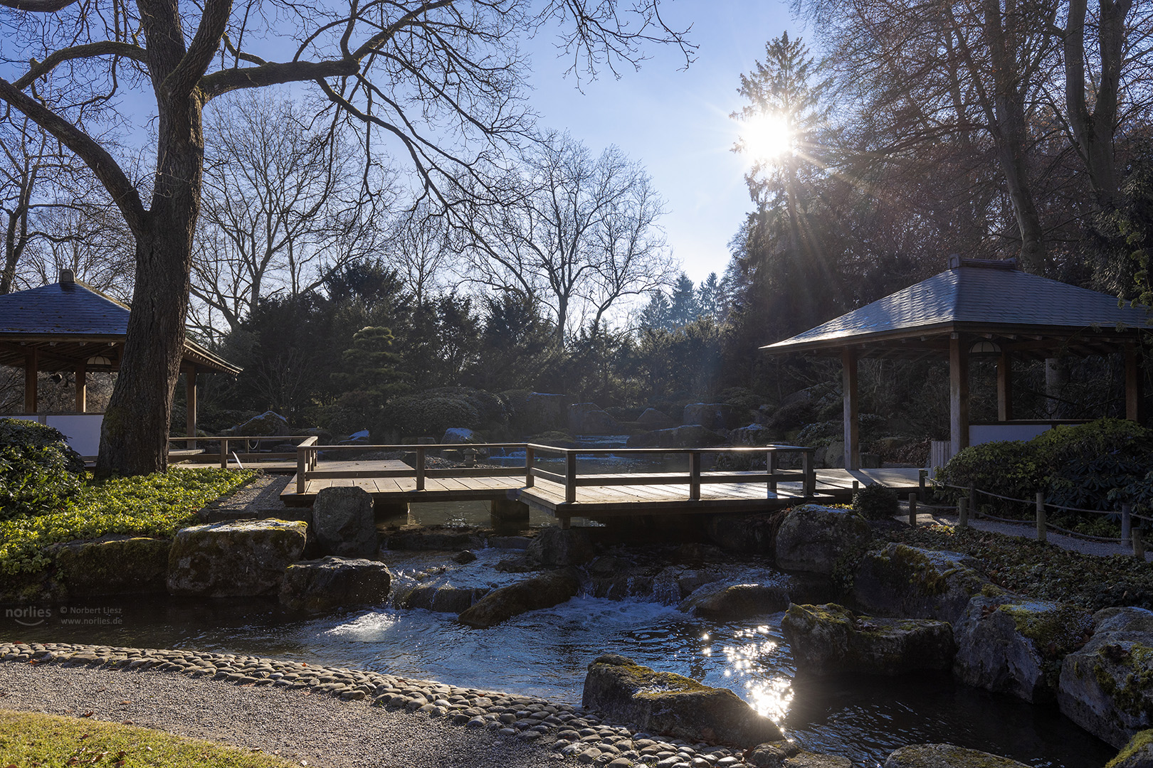 Wintersonne im Japangarten