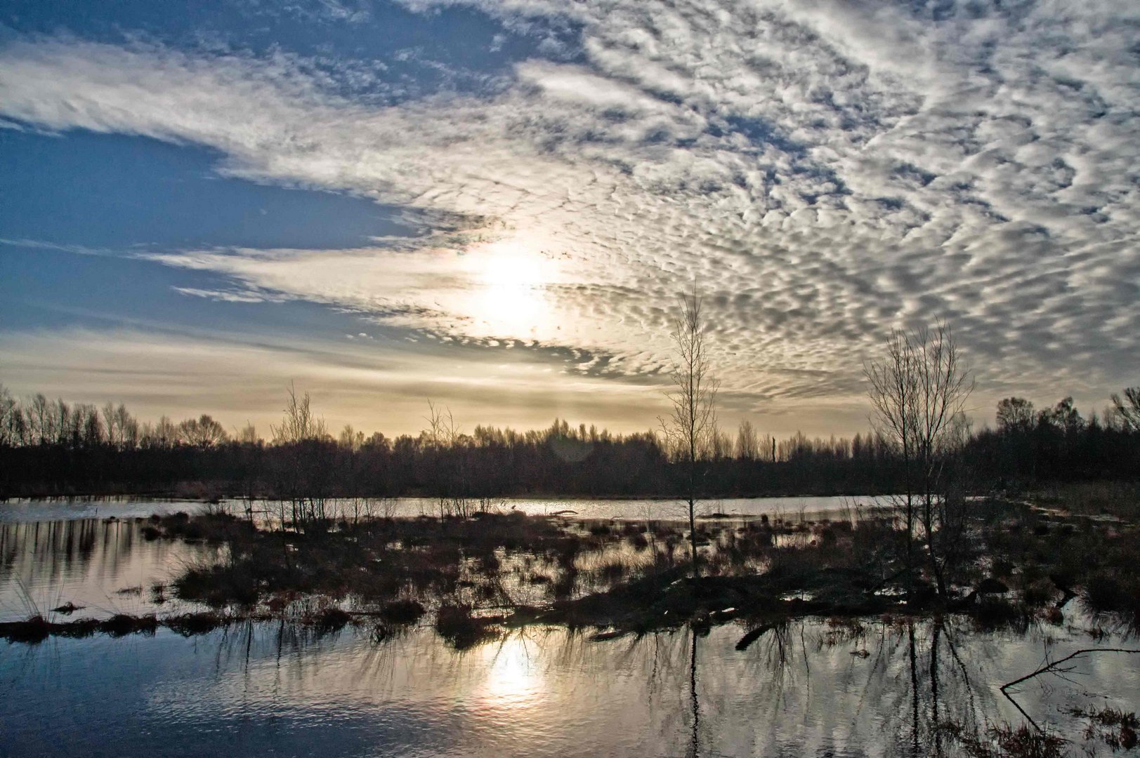 Wintersonne im Moor