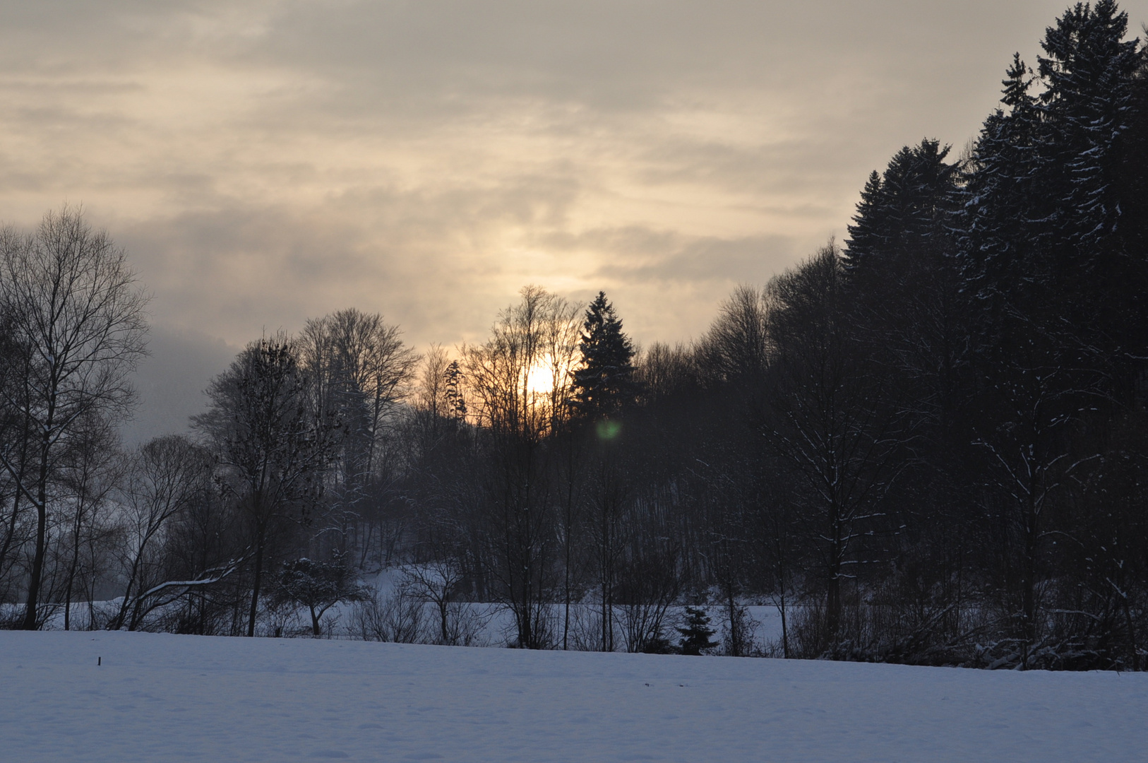 Wintersonne im Mostviertel 2