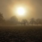 wintersonne im nebel