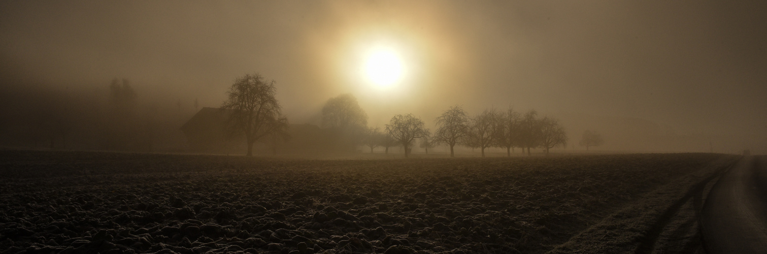 wintersonne im nebel