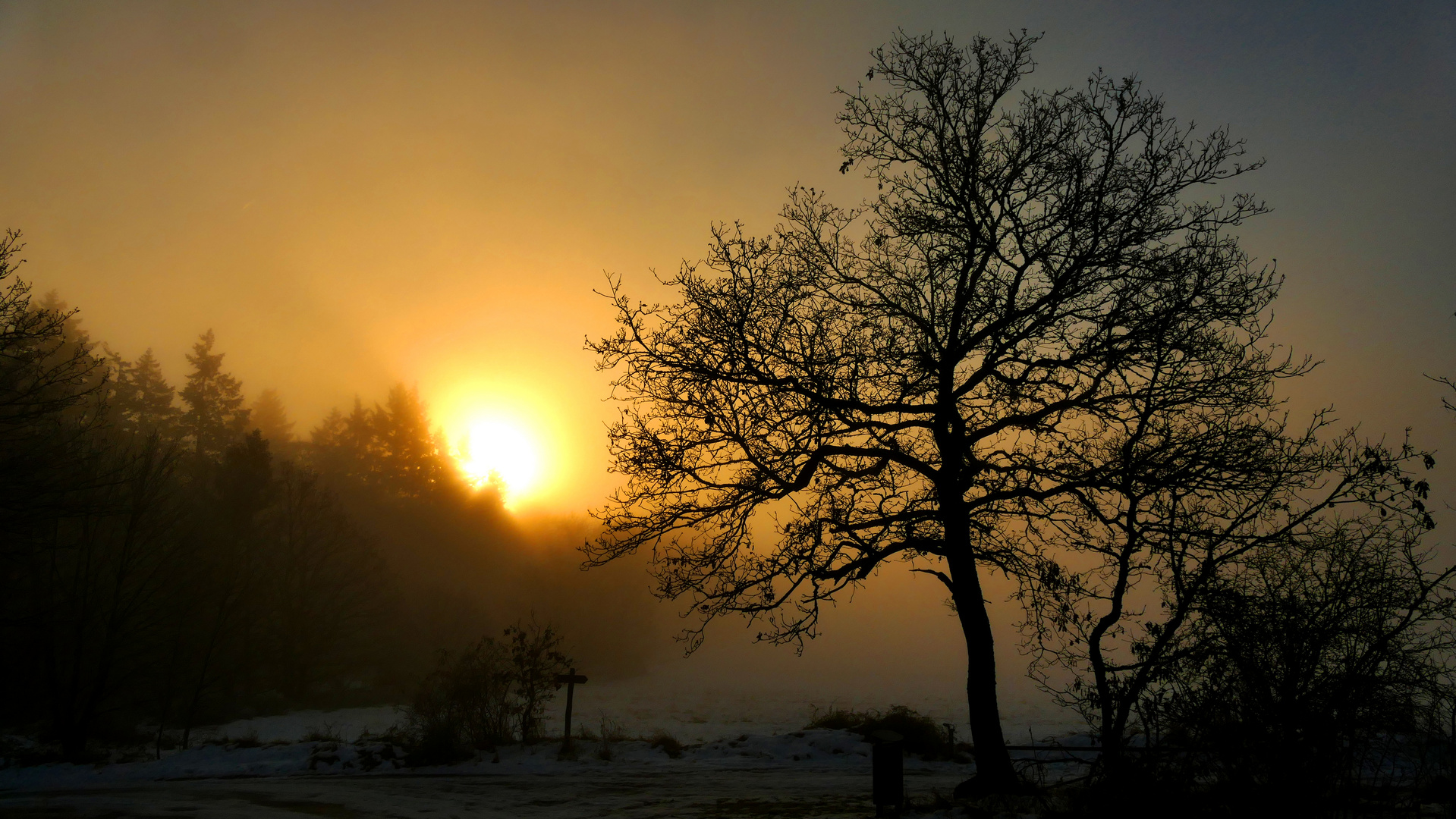 Wintersonne im Nebel