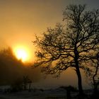 Wintersonne im Nebel