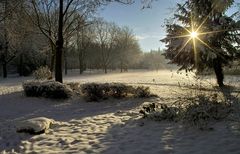Wintersonne im Niederzierer Park