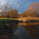 Wintersonne im Park