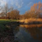 Wintersonne im Park