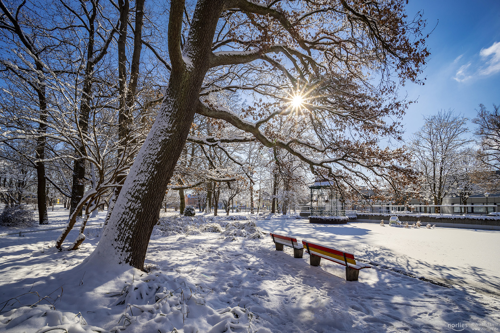 Wintersonne im Park