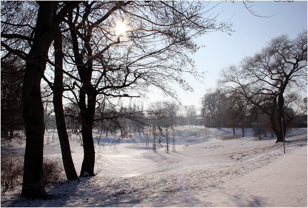 Wintersonne im Park