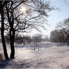 Wintersonne im Park