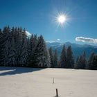 Wintersonne im Prättigau