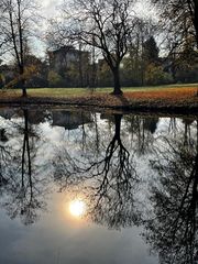 Wintersonne im Teich