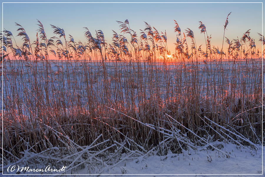 Wintersonne im Teufelsmoor ...