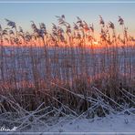 Wintersonne im Teufelsmoor ...