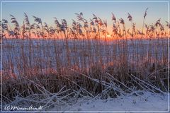 Wintersonne im Teufelsmoor ...