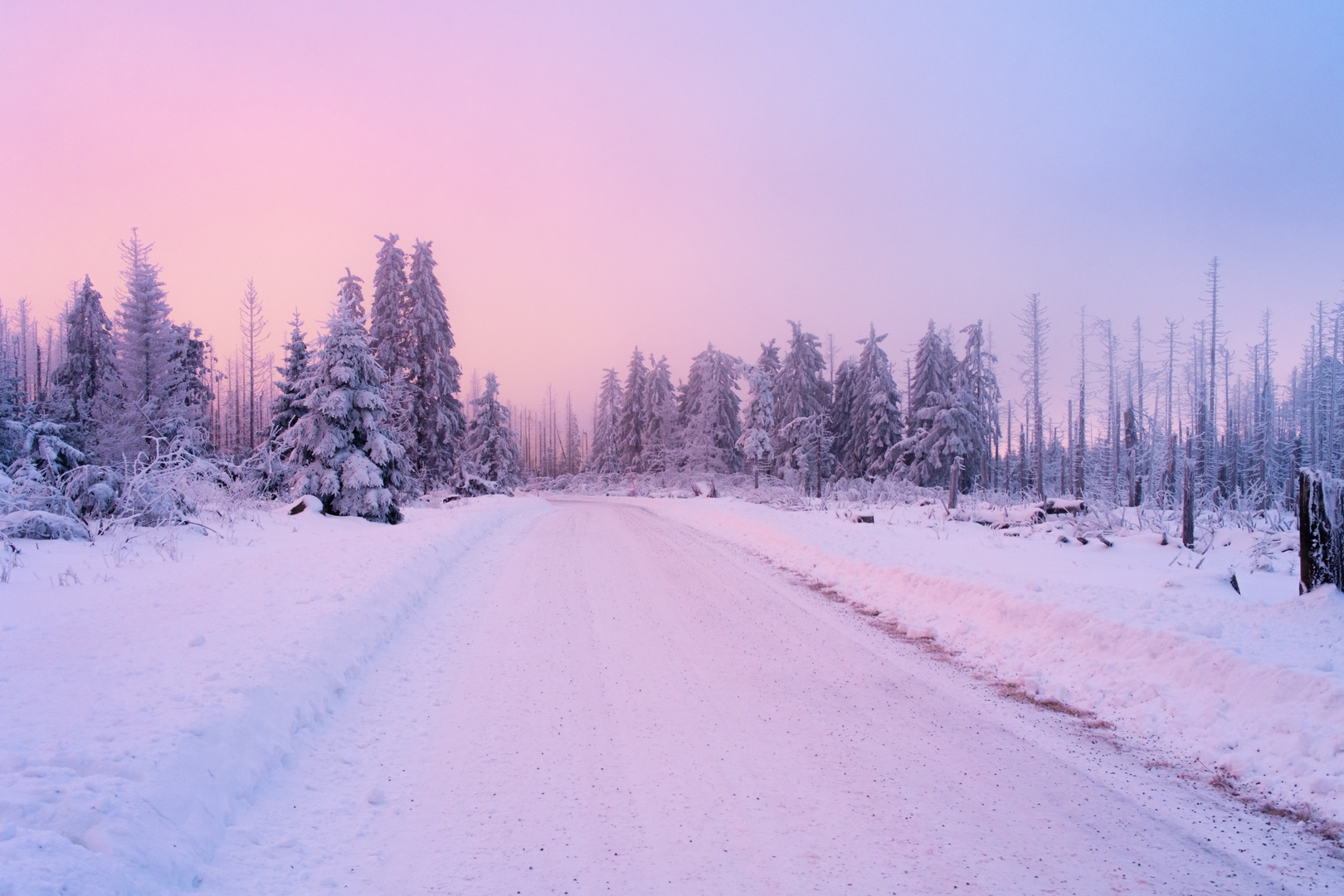 Wintersonne im verschneiten Harz